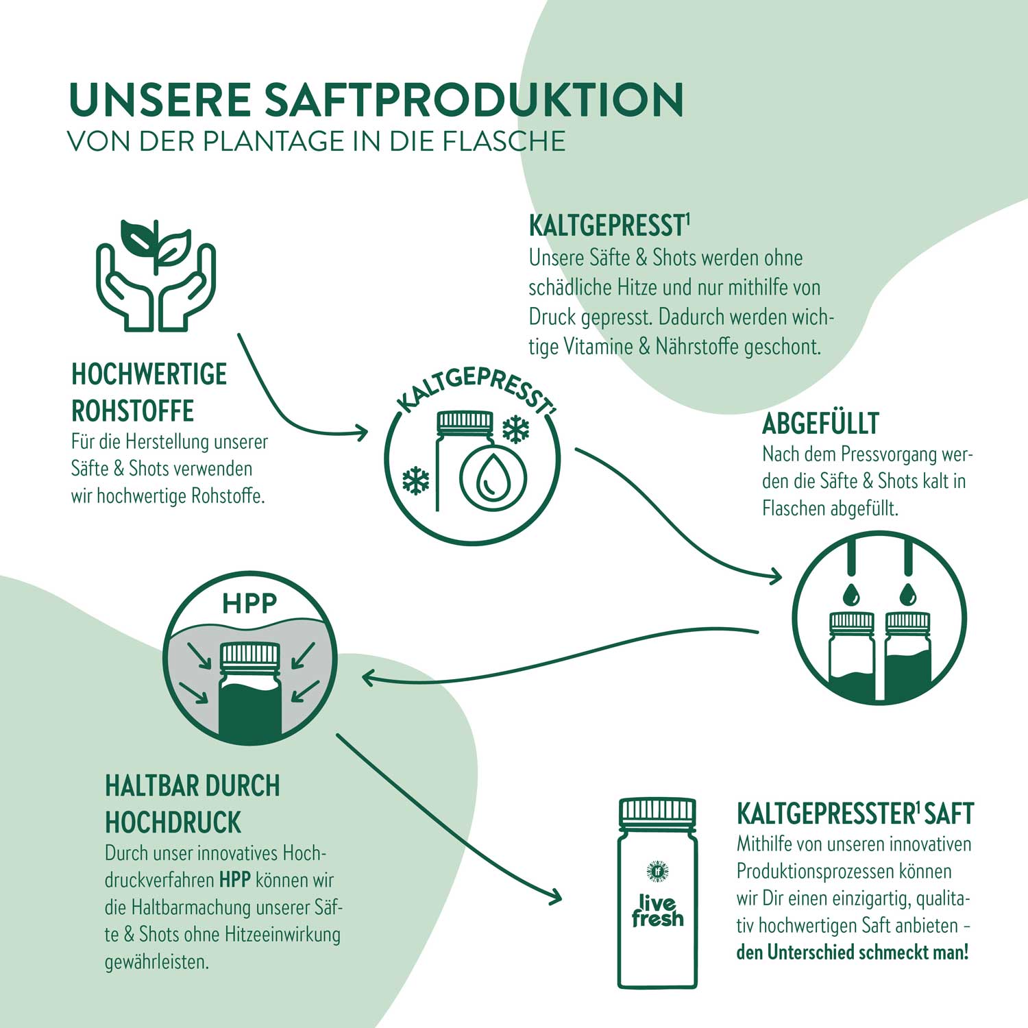 Infografik zur Saftproduktion von LiveFresh mit grünen Icons und den Schritten: hochwertige Rohstoffe, kaltgepresst ohne Hitze, Abfüllung, Haltbarmachung durch Hochdruck (HPP) und das Endprodukt – kaltgepresster Saft.