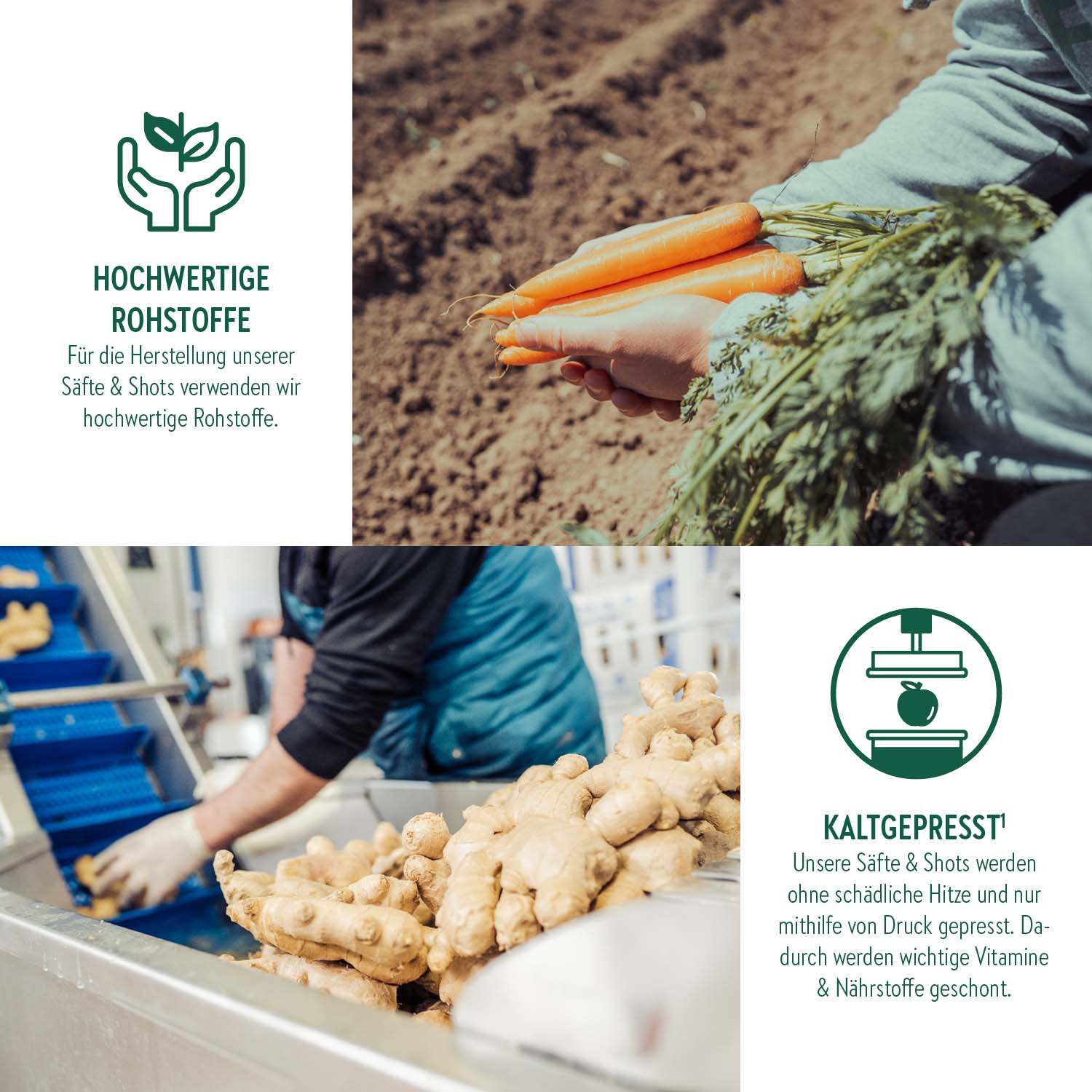 Vitamin D Shot - Sunshine Berry - 60ml - LiveFresh