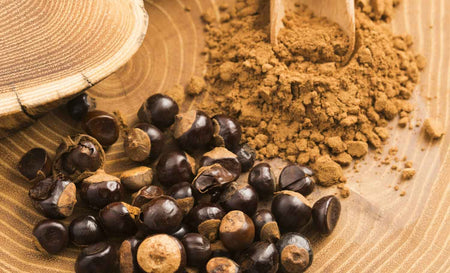 Guaraná – Die besondere Alternative zu Kaffee