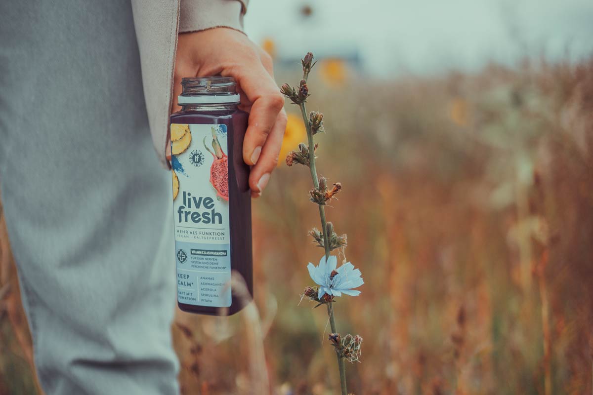 Eine Person, die eine Flasche „Live Fresh Keep Calm“ Saft in der Hand hält, während sie durch eine natürliche Umgebung mit Blumen und hohem Gras spaziert. Der Saft ist vegan, kaltgepresst und enthält unter anderem Ananas, Ashwagandha, Aronia, Spirulina und Pitaya. Die Verpackung hebt die beruhigende Wirkung des Safts hervor, der für die Unterstützung des Nervensystems entwickelt wurde.